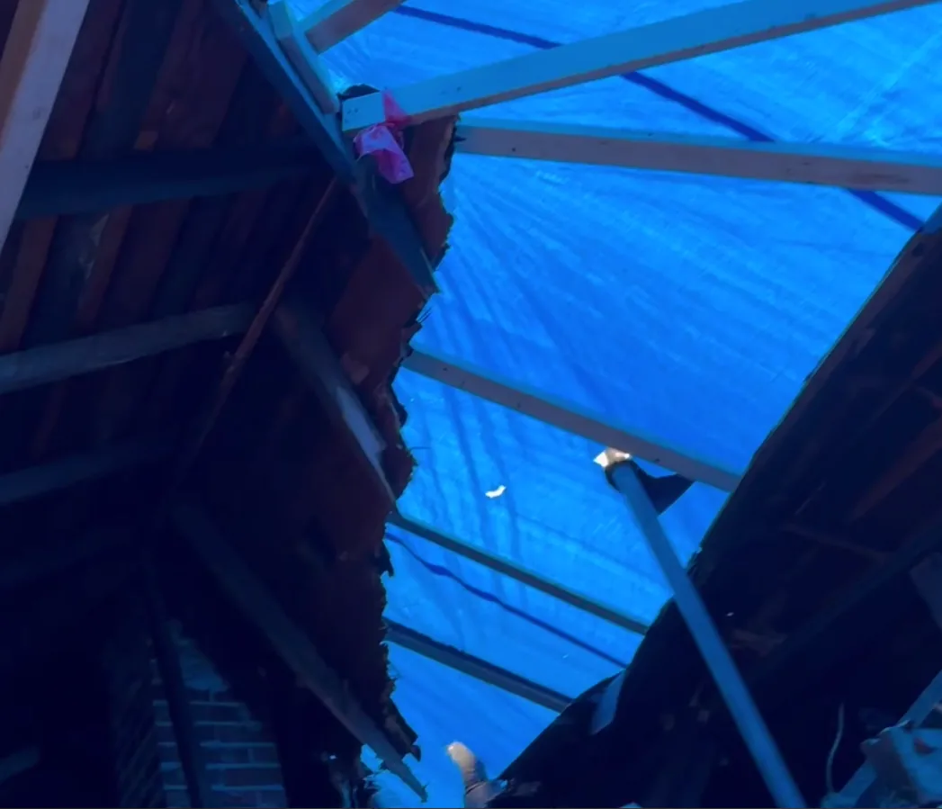 Exposed roof framing under a blue emergency tarp after a tree fell on the Seattle home